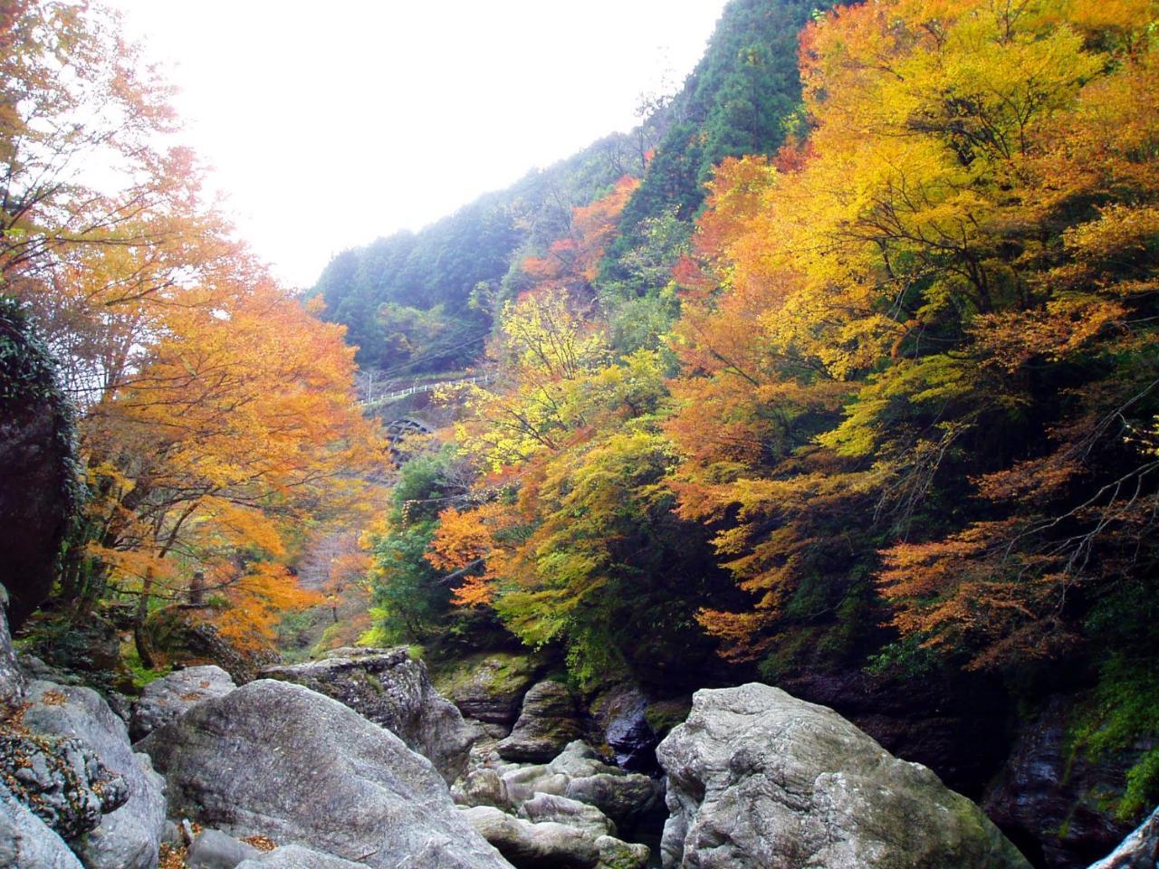 Niyodogawa Nature Resort In Niyodo מראה חיצוני תמונה